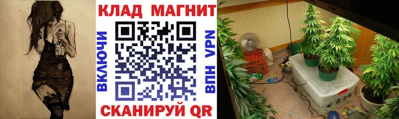 Купить закладку Псилоцибиновые грибы  АМФЕТАМИН  Меф мяу мяу  Cocaine  Приволжск