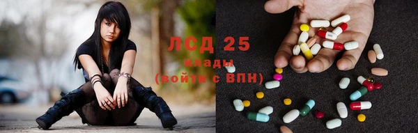 гашик Аркадак