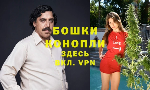 гашик Аркадак