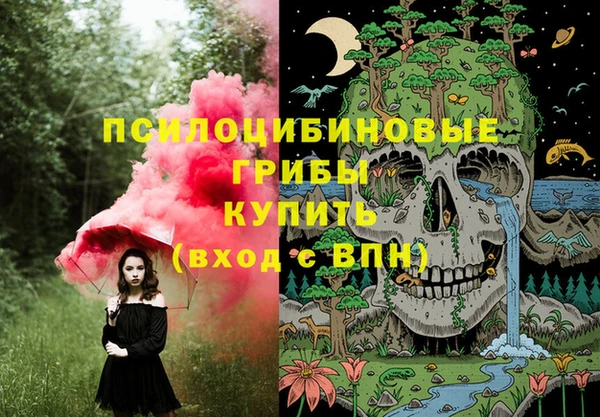 винт Арсеньев