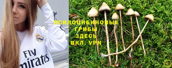 гашик Аркадак