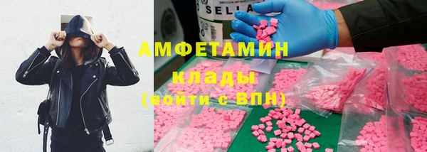 гашик Аркадак
