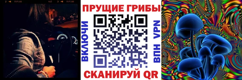Галлюциногенные грибы MAGIC MUSHROOMS  Купить закладки  Приволжск 